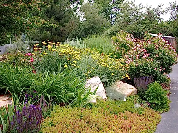 Ekolojik Tasarım Nedir?